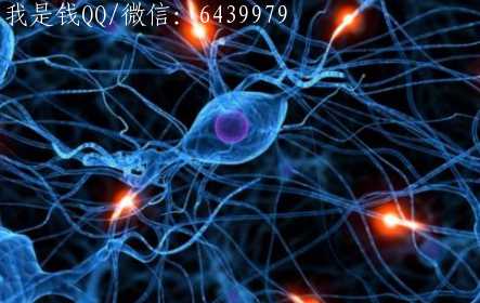 神经网络原理——神经网络分析算法