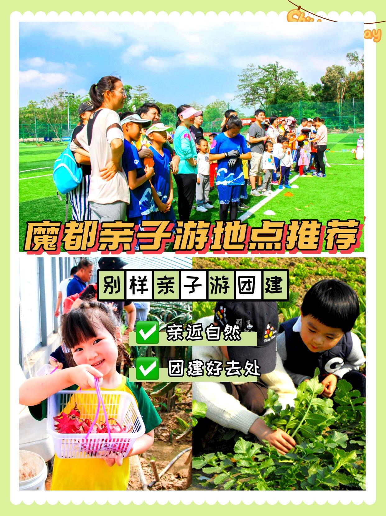 社群,同城亲子社群如何盈利，2023上海团建推荐：上海周边亲子团建嗨玩一整天